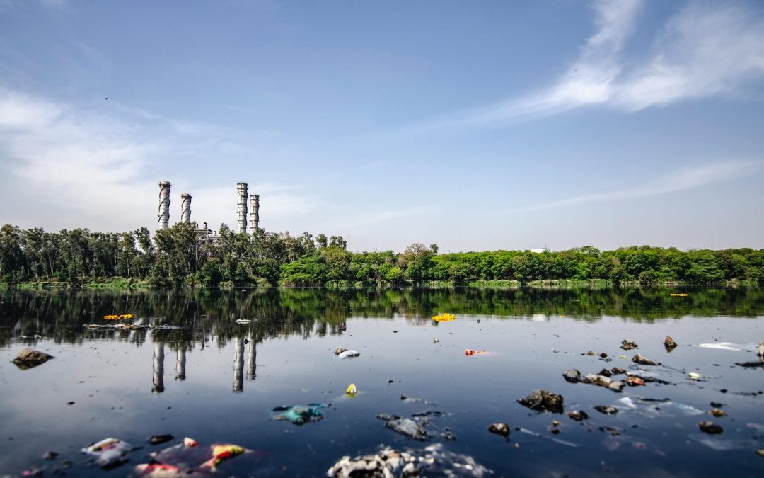 Cómo las toxinas que se encuentran en el ambiente afectan tu salud.